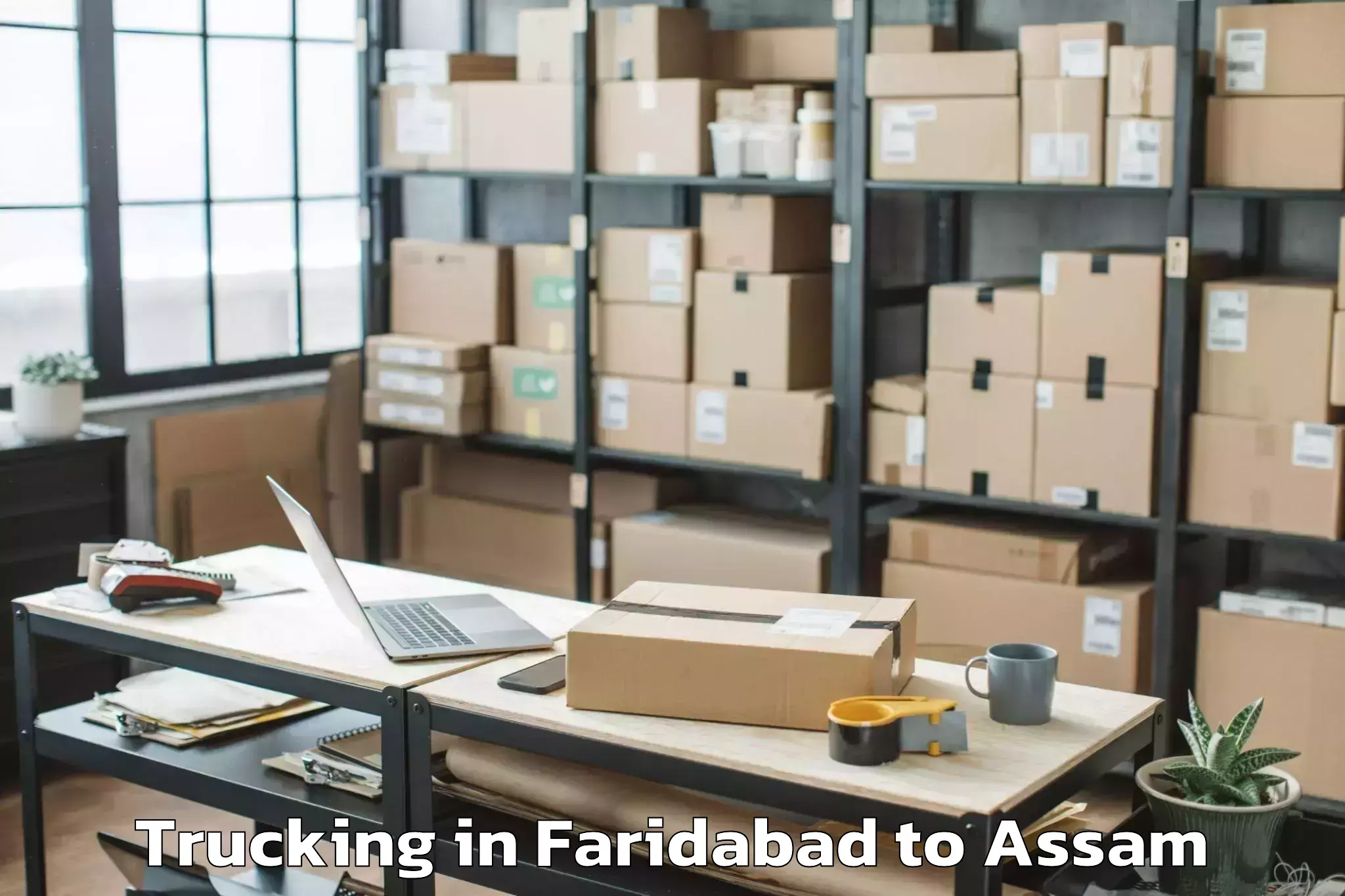 Professional Faridabad to Gossaigaon Trucking